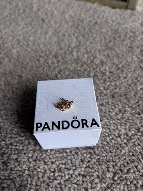 Pandora Infinity settings  Box with Black Logo